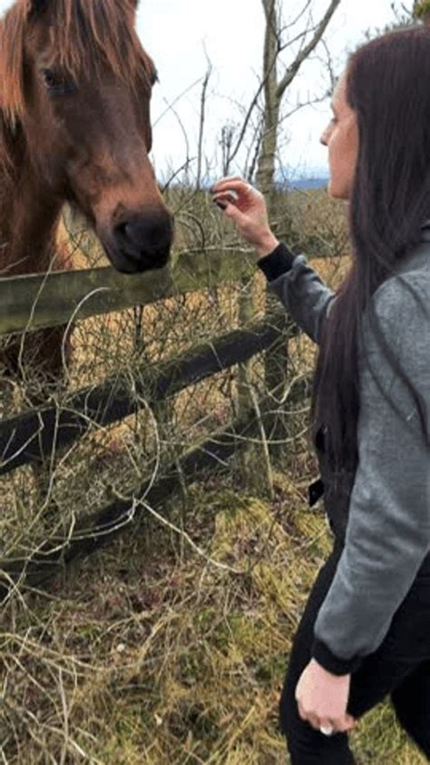 530 videos de Mujeres fallando con un caballo